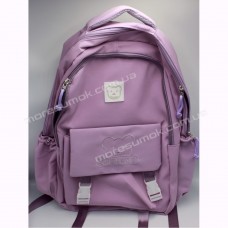 Спортивні рюкзаки 6113 purple