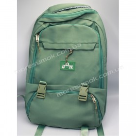 Спортивні рюкзаки 8279 green