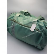 Спортивні сумки 601-4 light green