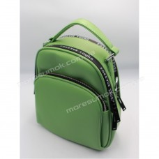 Жіночі рюкзаки S5504 green