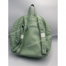 Жіночі рюкзаки 6602 light green