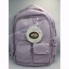 Спортивные рюкзаки S285 purple
