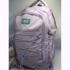 Спортивні рюкзаки S279 purple