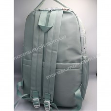 Спортивные рюкзаки S293 light green
