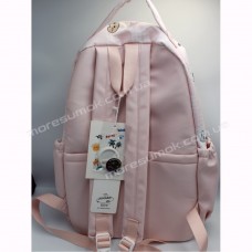 Спортивні рюкзаки S293 pink