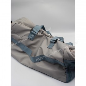 Спортивные сумки 6501 dark gray-light blue