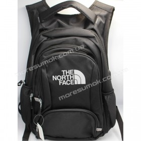 Спортивные рюкзаки 3100 TNF black