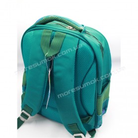 Шкільні ранці XLT-03-16-13 green