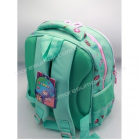 Шкільні ранці XLT-02-2-12 light green