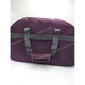 Дорожні сумки TS889 purple