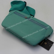 Спортивні бананки JP108 mint