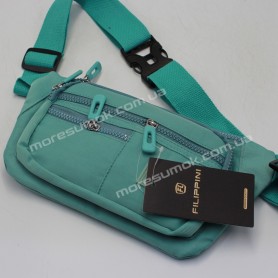 Спортивні бананки JP101 mint Спортивні бананки JP101 mint