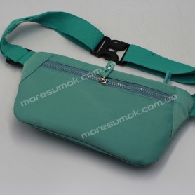 Спортивні бананки JP101 mint Спортивні бананки JP101 mint