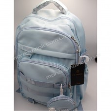 Спортивные рюкзаки 79820 light blue