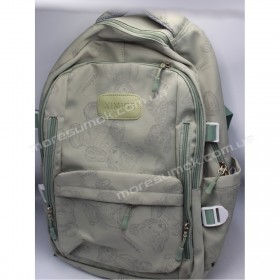 Спортивні рюкзаки 9096 light green