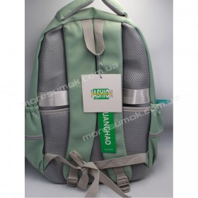 Спортивні рюкзаки D-042 light green