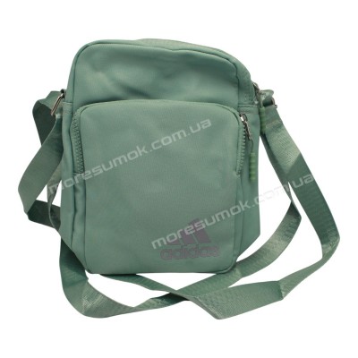 Спортивные сумки 1019 ad light green