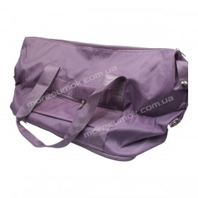 Спортивні сумки 213 purple
