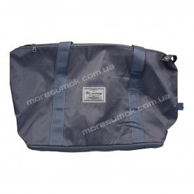 Спортивні сумки 213 light blue