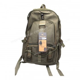 Чоловічі рюкзаки GB2306 green