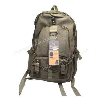Чоловічі рюкзаки GB2306 green