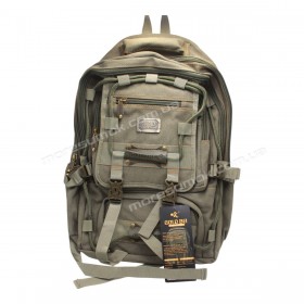 Мужские рюкзаки GB2301 green