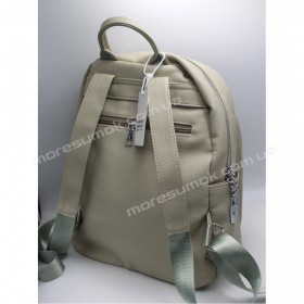 Жіночі рюкзаки 6002 white birch