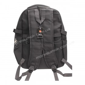 Спортивные рюкзаки 743 black