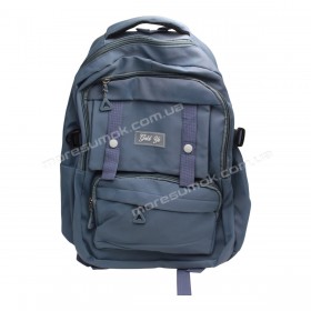 Спортивные рюкзаки 743 light blue