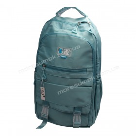 Спортивні рюкзаки 013 mint