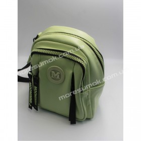 Жіночі рюкзаки MH-83180 light green