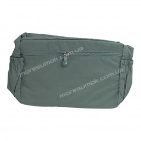 Спортивні сумки BL7015 light green