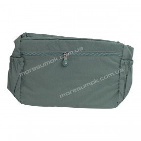 Спортивные сумки BL7015 light green