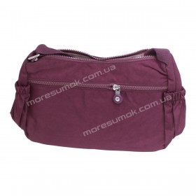 Спортивные сумки BL7013 dark purple