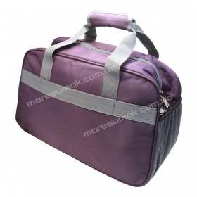 Дорожні сумки TS598 purple