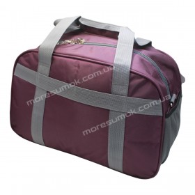 Дорожні сумки TS289 dark purple