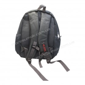 Чоловічі рюкзаки GB679 gray