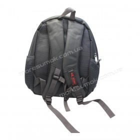 Чоловічі рюкзаки GB679 gray
