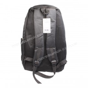 Спортивні рюкзаки SN-2662 black-blue