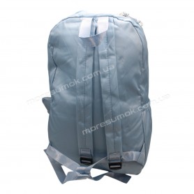 Спортивные рюкзаки 3001 light blue