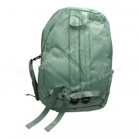 Спортивні рюкзаки 3001 light green