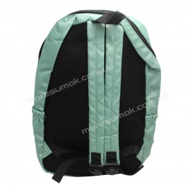 Спортивні рюкзаки 662 light green