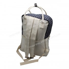 Спортивні рюкзаки 366 beige-blue