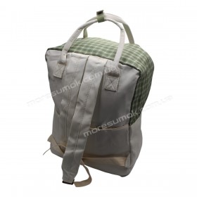 Спортивні рюкзаки 366 beige-green
