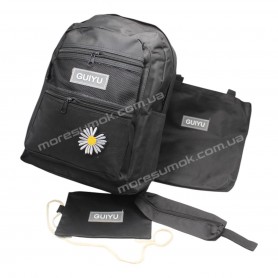 Спортивные рюкзаки 345 black