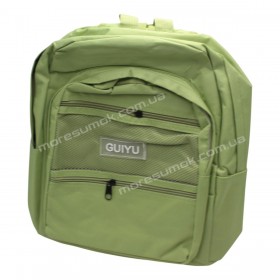 Спортивні рюкзаки 345 light green