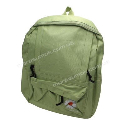 Спортивні рюкзаки 238 light green