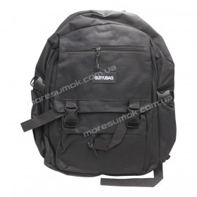 Спортивні рюкзаки 419 black