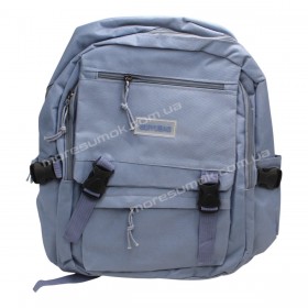 Спортивні рюкзаки 419 light blue