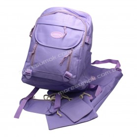 Спортивные рюкзаки 481 purple